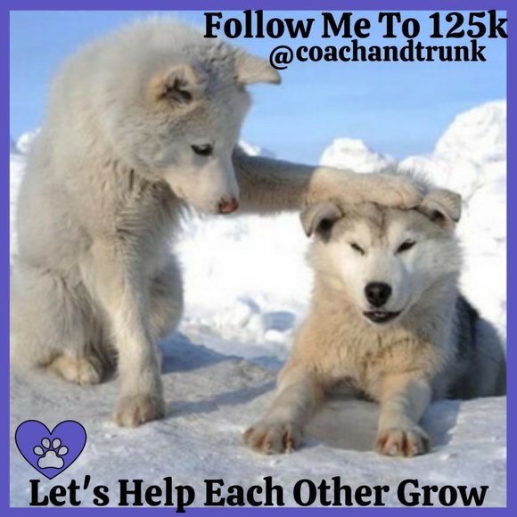 🎵🎶🎈200k!! Thank You So, So, Much❣️❣️🎈🎵🎶💕💕💕You Are All The Best💕💕💕 - Picture 9 of 10